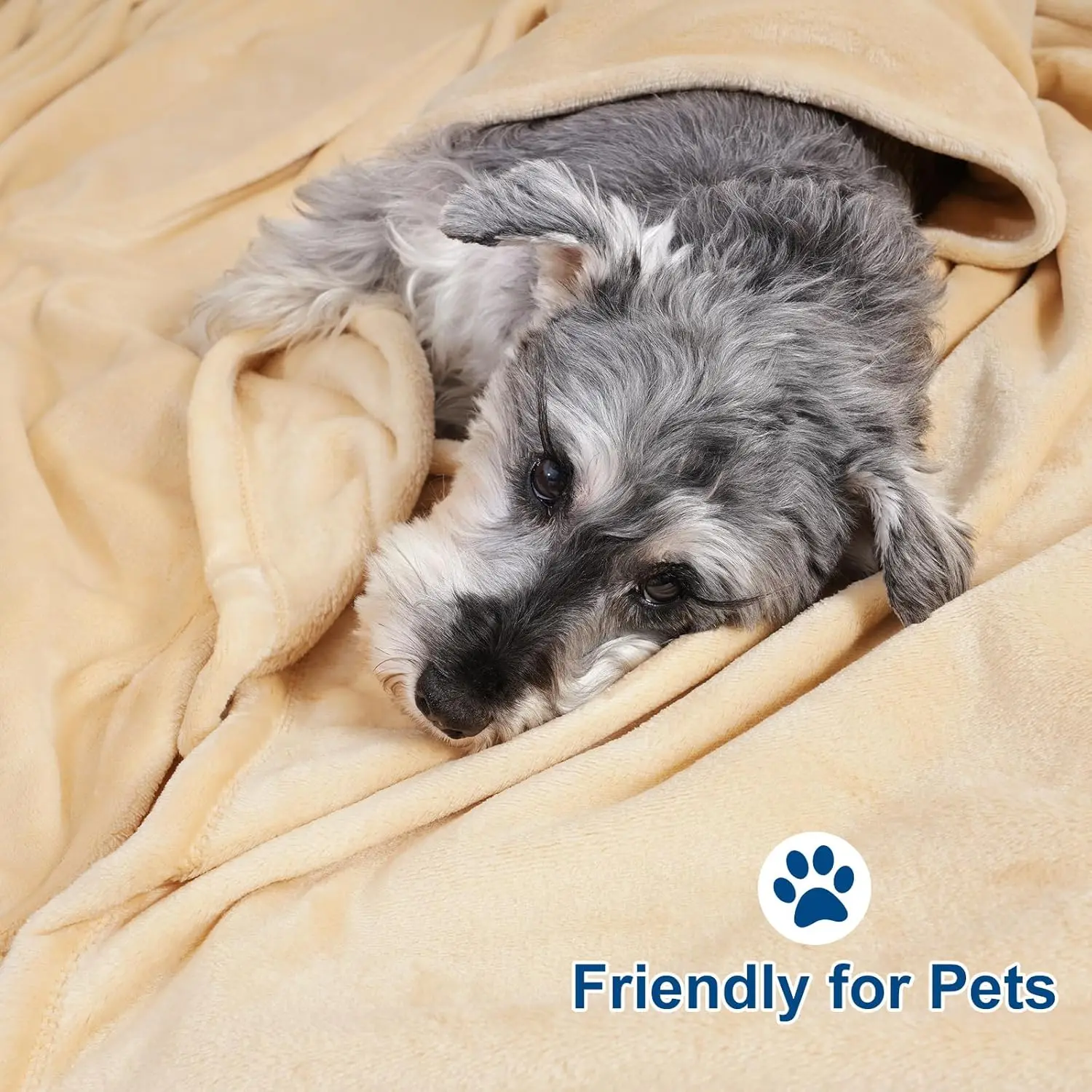 Flannel Throw Blanket,Shaggy Micro Plush Flannel Blanket for Bedroom Dorm,Standard Autumn and Winter Home Wool Blanket