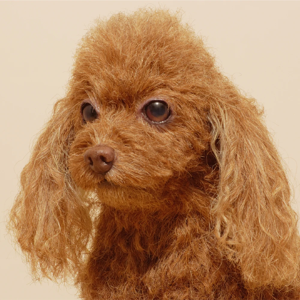 Custom Clone Dog 3d Model Simulation Animal Importer Art Display