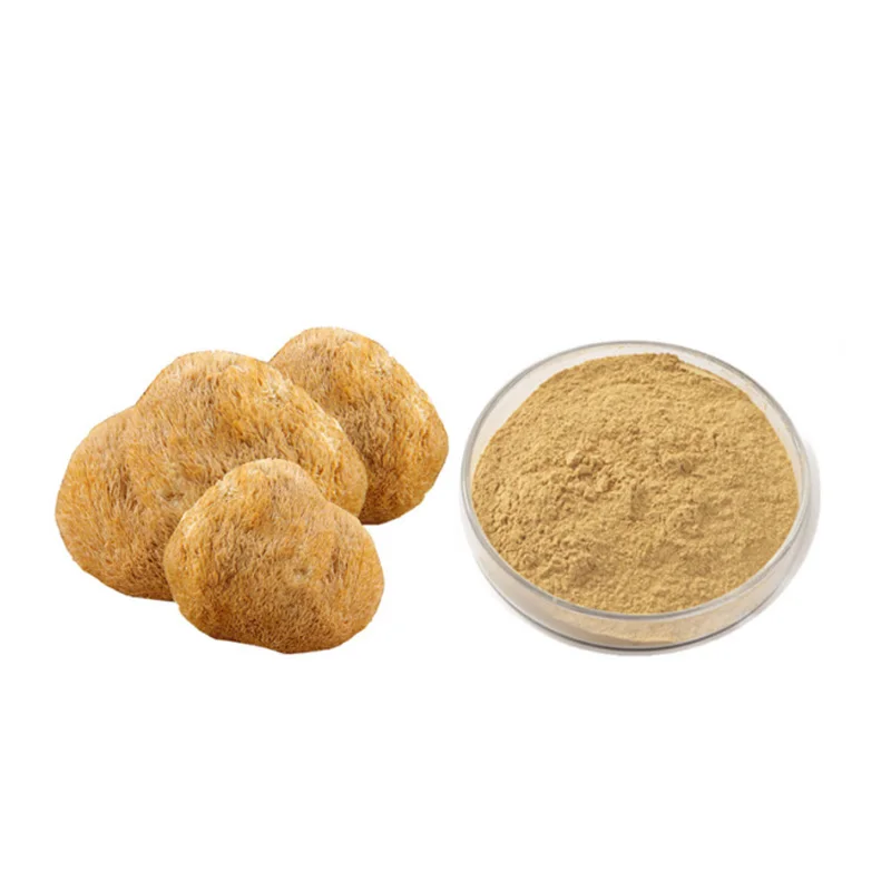 High Quality Pure Nautral Hericium Erinaceus lions Mane Mushroom Dried Hericium Erinaceus Mushroom Extract