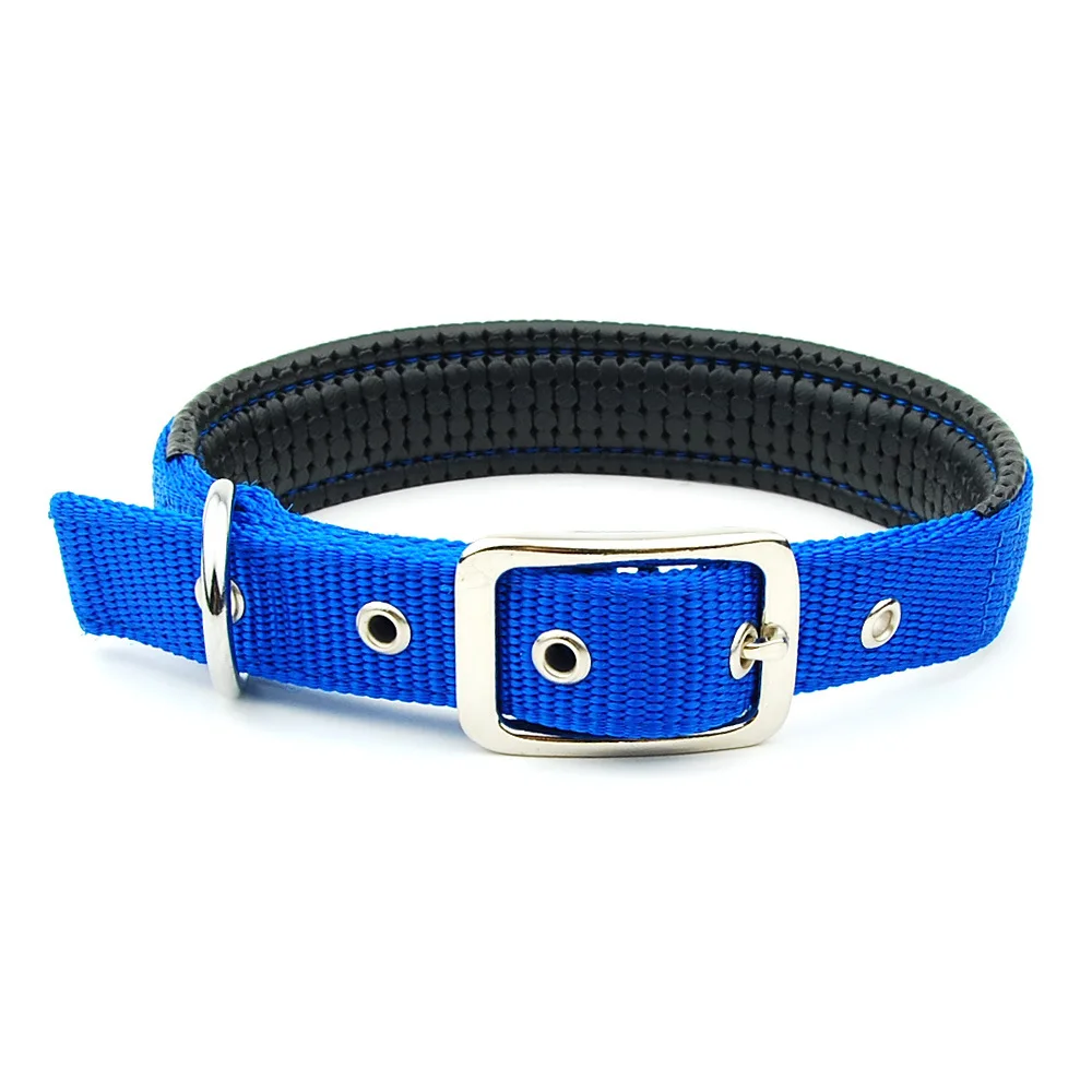 Placas Mascotas Fluorescente Collares Mascota luminoso Fivela Engate Rapido Para Coleiras De Proteccion Perro Dog Collar Cotton