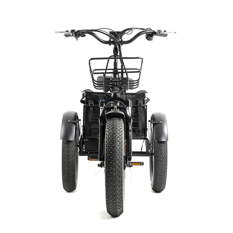 ANLOCHI Now stock 20inch bafang three wheel ebike 750W electric cargo bike bicycle cargo electric tricycle
