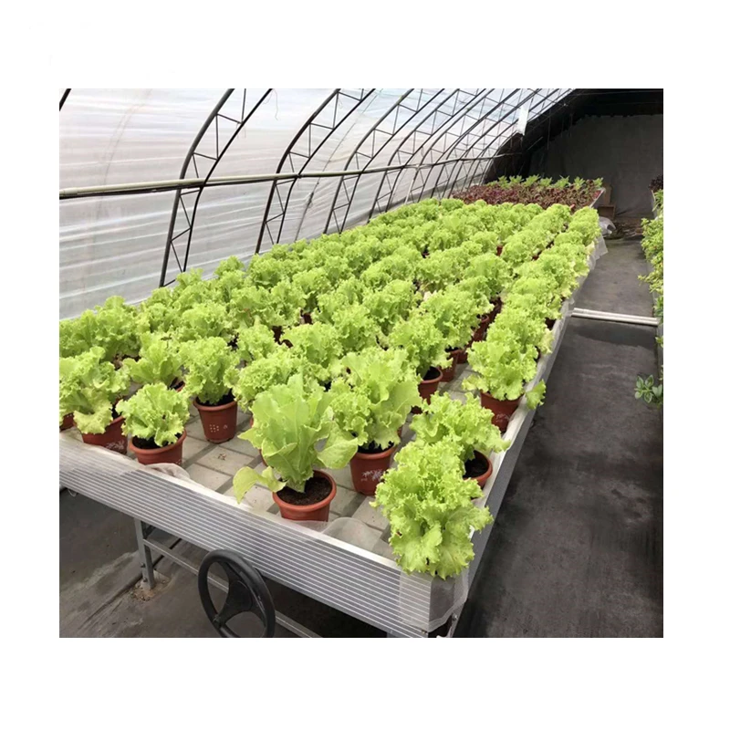 Hydroponics Greenhouse Movable Ebb and Flow Tray Rolling Bench Plants Grow Table for Microgreens/Lettuce/Herbs/Vegetable