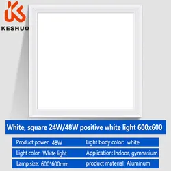 Keshuo LED Ceiling Light  Smart Panel Light Compatible an led panel light