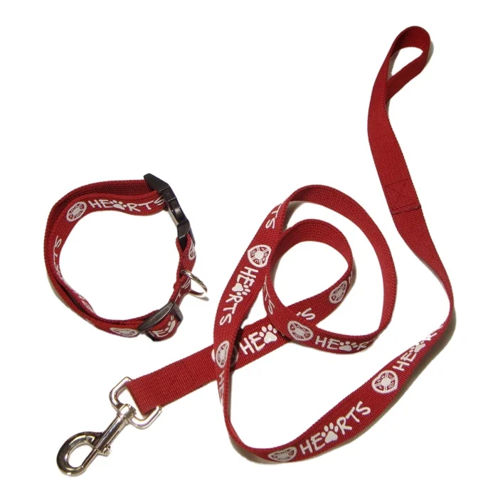 2024 Hot wholesale Customized Leather Handle Extremely Durable Metal Snake Chain Dog Show Lead Leash