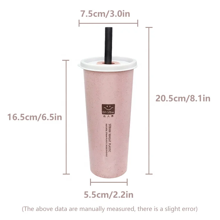 Wheat Straw Water Cup with Straw Wholesale Eco Friendly Big Size 450ml Water Bottles Creative Water Mug Plastic Outdoor Travel