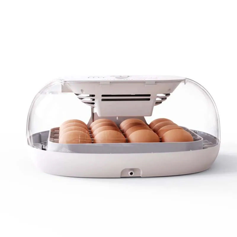 16 Eggs Digital Mini Automatic Incubators With Temperature Display Automatic Egg LED Turning Light Egg External Automatic Water