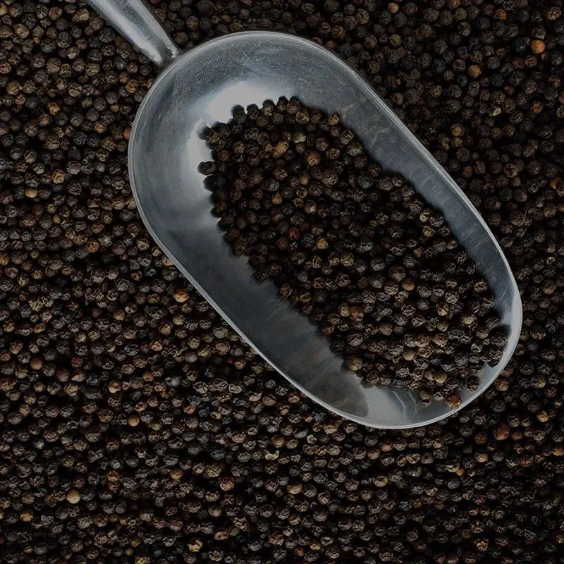 Dried Black Pepper - Cheap Price Wholesale No Heavy Mental Dried Black Pepper from Viet Nam