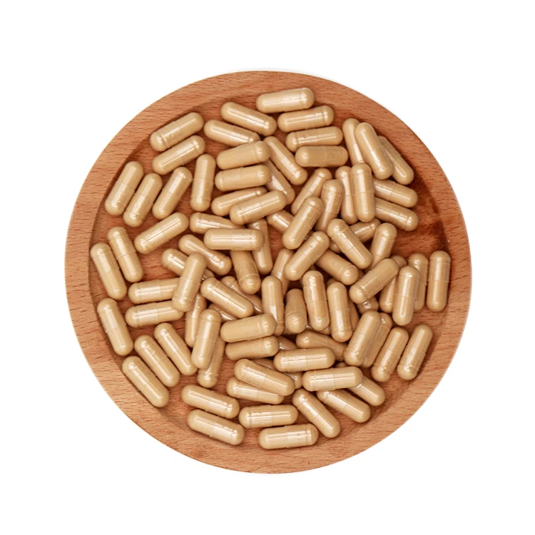 OEM Private Label Supports Energy Supplement -  Herbal Mushroom Capsules with Oyster Extract