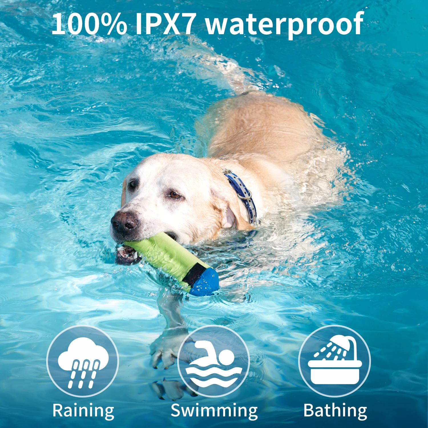 Dog Electric Anti Dog Barking Collars Waterproof Rechargeable Training Shock Collar Bark Deterrent Device With Remote