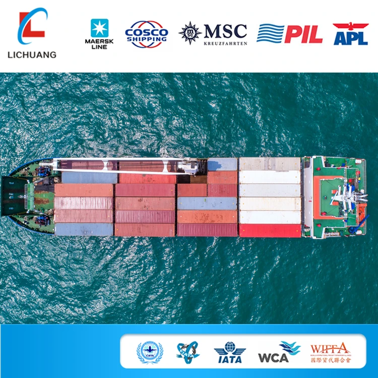 China Freight Ocean Agent Sea To Greece Door to Door Delivery DDP DDU Cargo Shipping Service