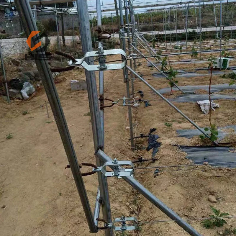 Farm Application Carbon Steel Metal Wire Tensioner Galvanized Zinc Iron Tightener in Carton Packaging Stamping Process