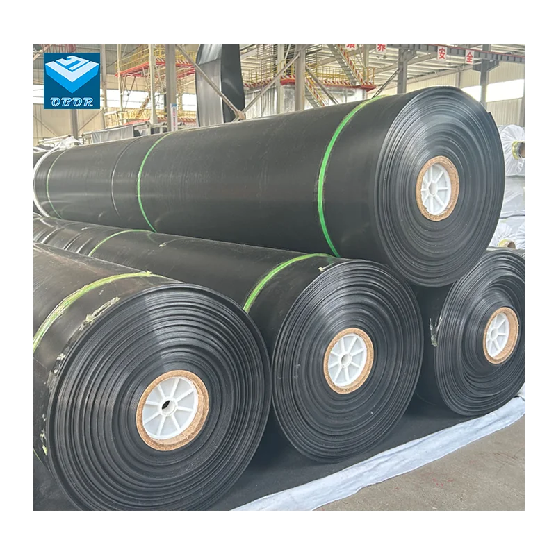Shrimp Fish Farm Pond Liner HDPE Geomembrane  Dam Water Reservoir Pond Liner Geomembrane