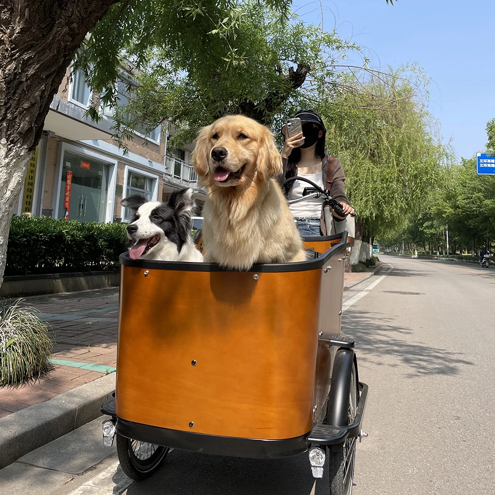 holland family box bike cargobike 3 wheel electric cargo bike for sale