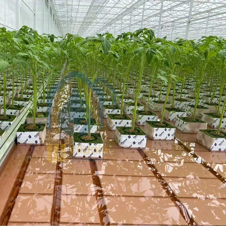 ebb and flow table hydroponic rack grow tray