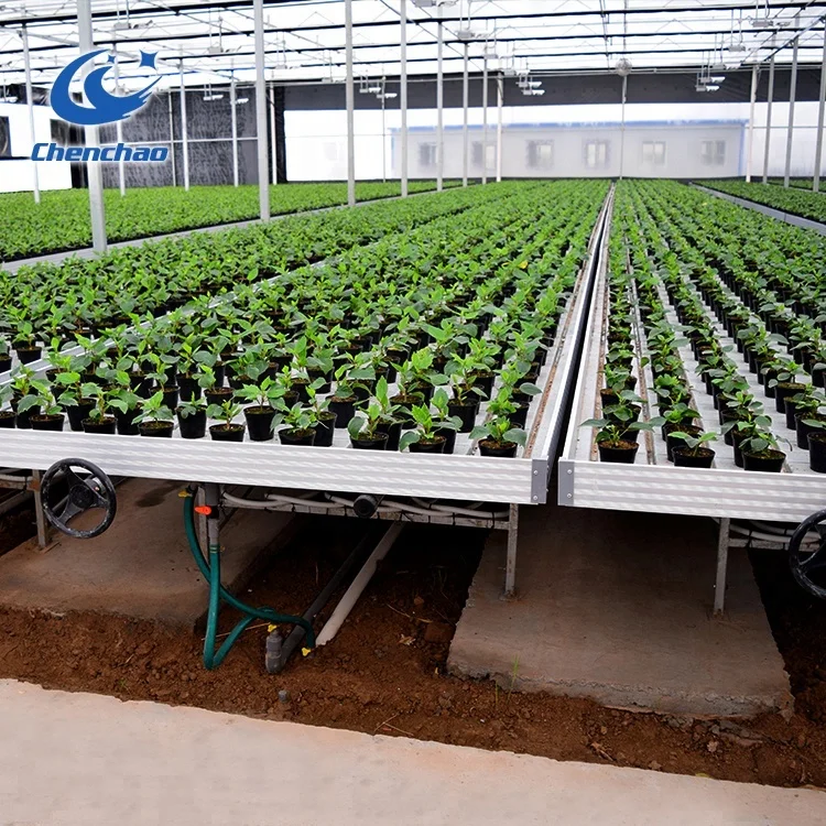 rolling benches ebb and flood tray tobacco seedbed