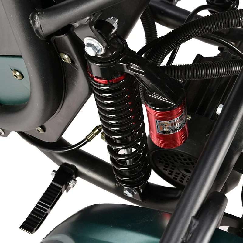 Competitive Price Wholesale 2000W Adult Three Wheels Electric Tricycle