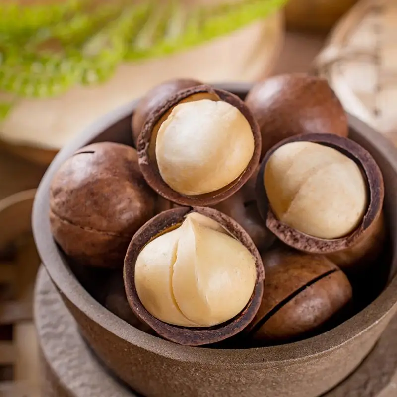 China Factory Price Macadamia nuts, roasted macadamia, organic macadamia nuts