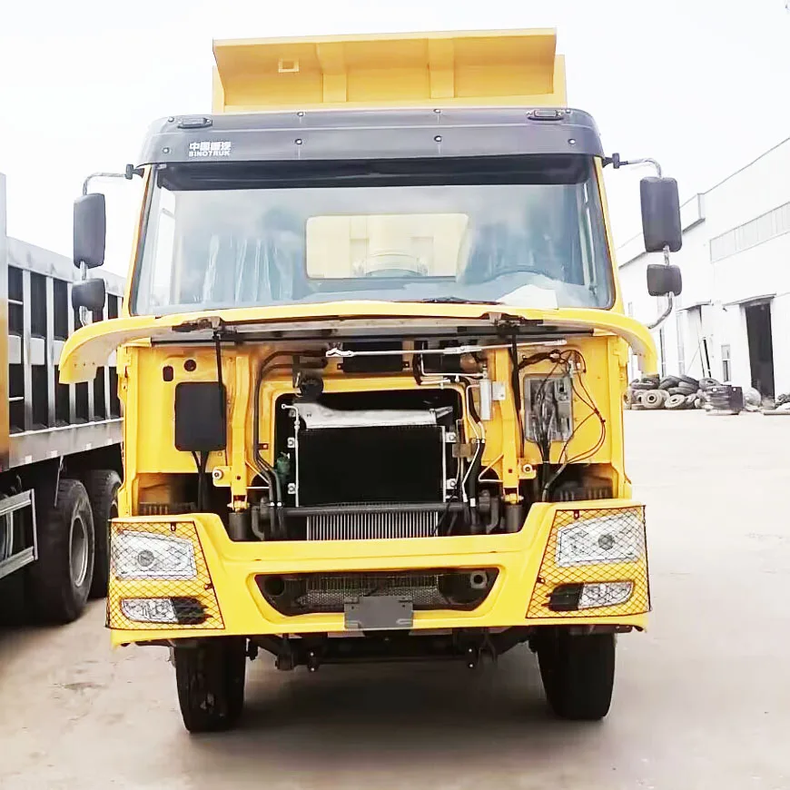 Heavy Duty Sinotruck Howo 6X4 10 Wheeler Dump Truck Price