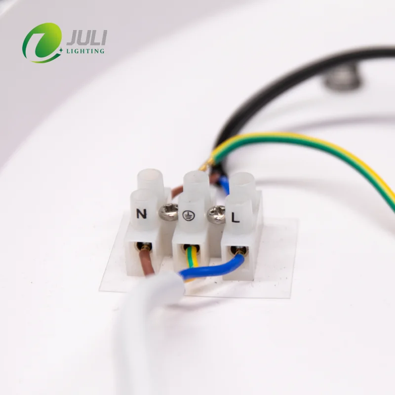 Modern Minimalist Design CB CE Approved 300 400 600 800mm Big Round Pendant Light CCT changeable for Indoor Decoration Lighting