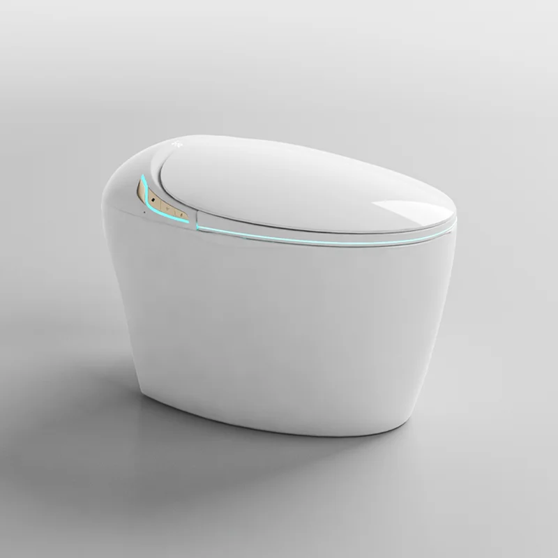 Egg Shaped One Piece Siphonic Smart Toilet S-Trap Auto Flush Big Pipe 110V\220V Female Washing Warm Wind