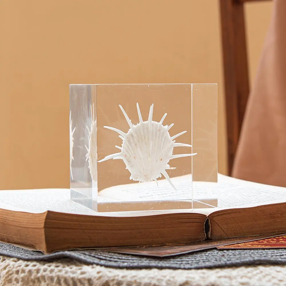 Solar Table  Solar System Shape Round Ring Model Best Quality Table Ware For Home  Living Room Decor