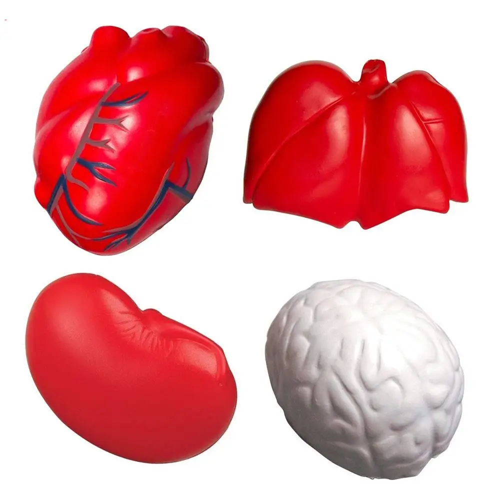 Fashion design anatomical heart stress ball