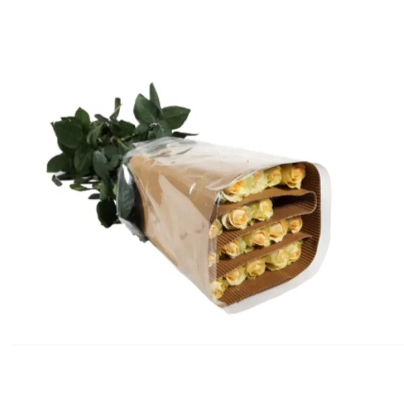 
real fresh flower fresh cutting flowers Peach Snow Mountain rose in Champagne by Yunnan Flowers Fields 