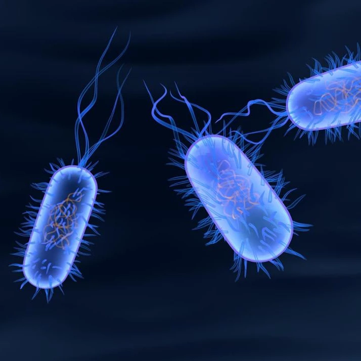 
 Стационарные сточные воды типа MBBR (AKTIFPAK by случай)  