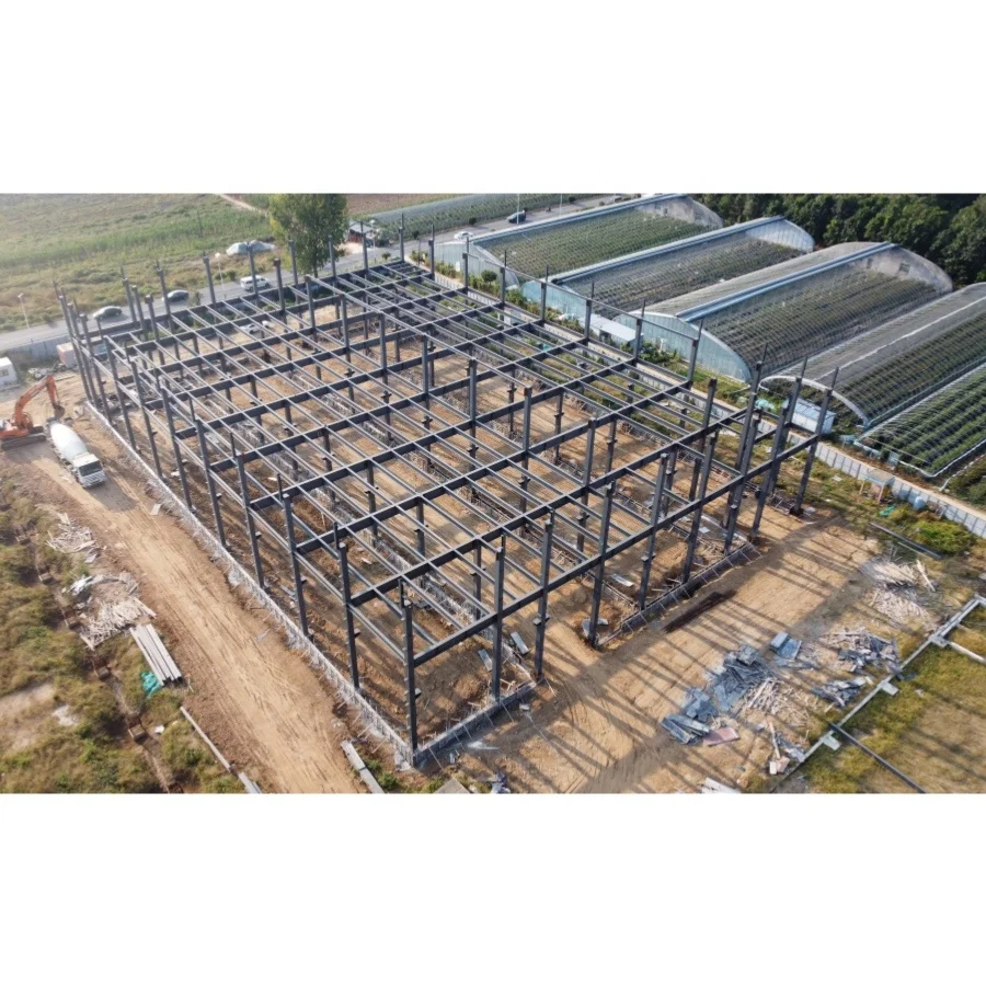 Customized Hot Sale Prefabricated Industrial Metal Building