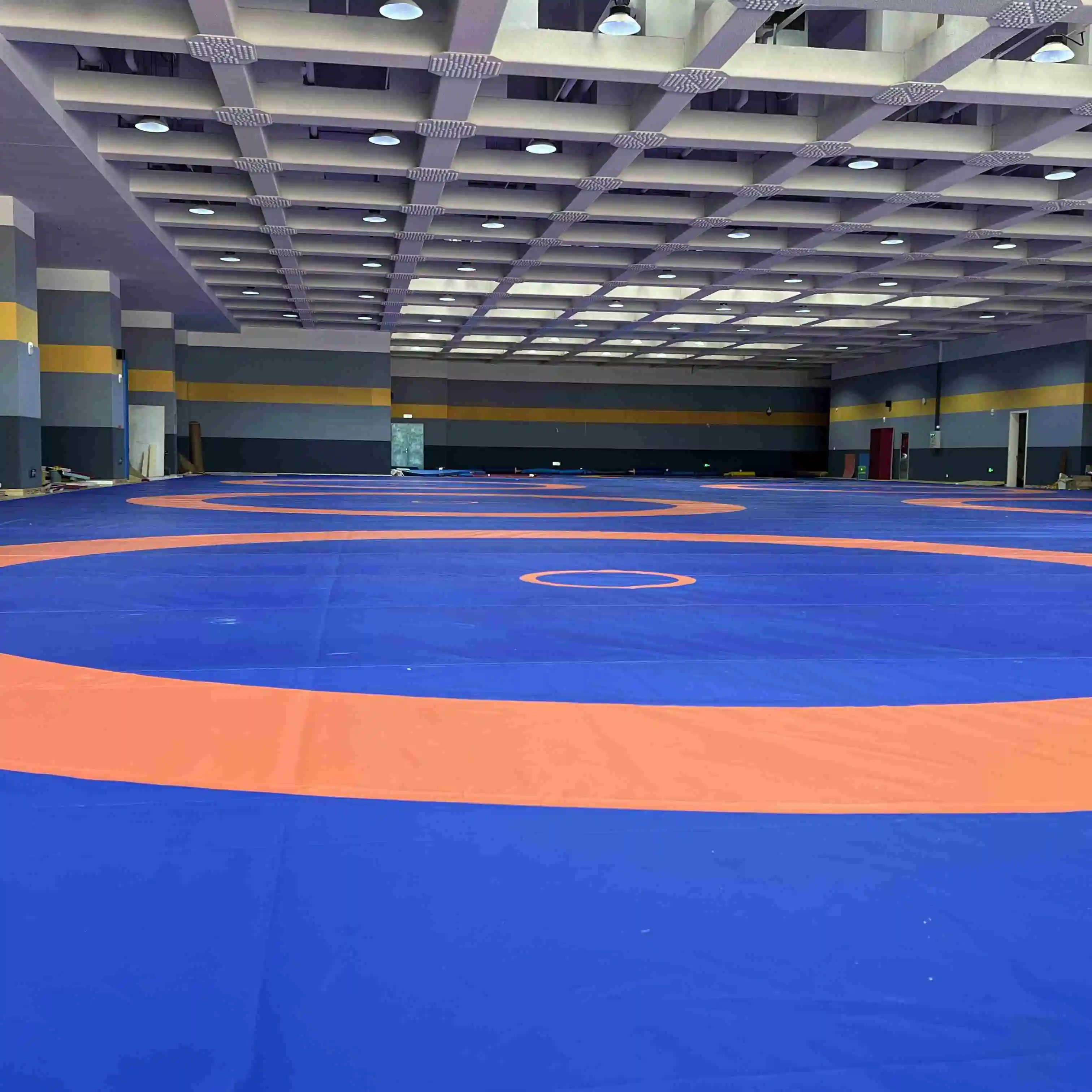 Tayshan Dolomur General Interlocking XPE Foam Wrestling Mat 10x10 Kabaddi Aikido Judo Taekwondo Mats Sale Wrestling Fighting