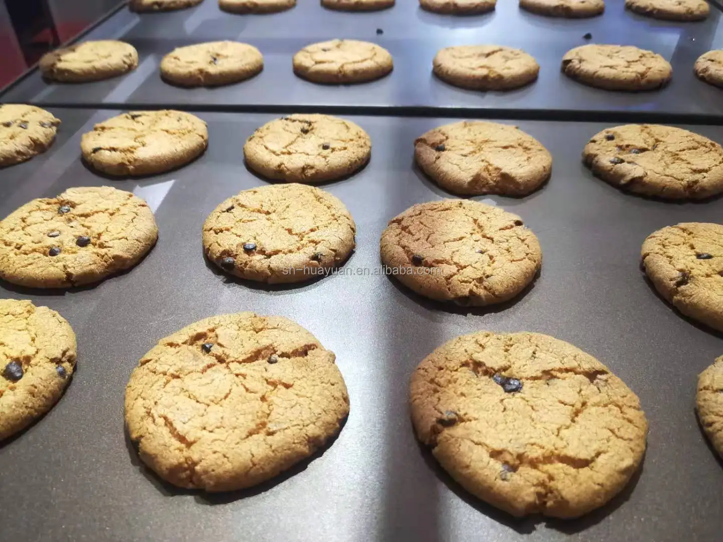 HYZDGJ-600 Industrial Processing Chocolate /Walnut/Cookies Machine Manufacturers