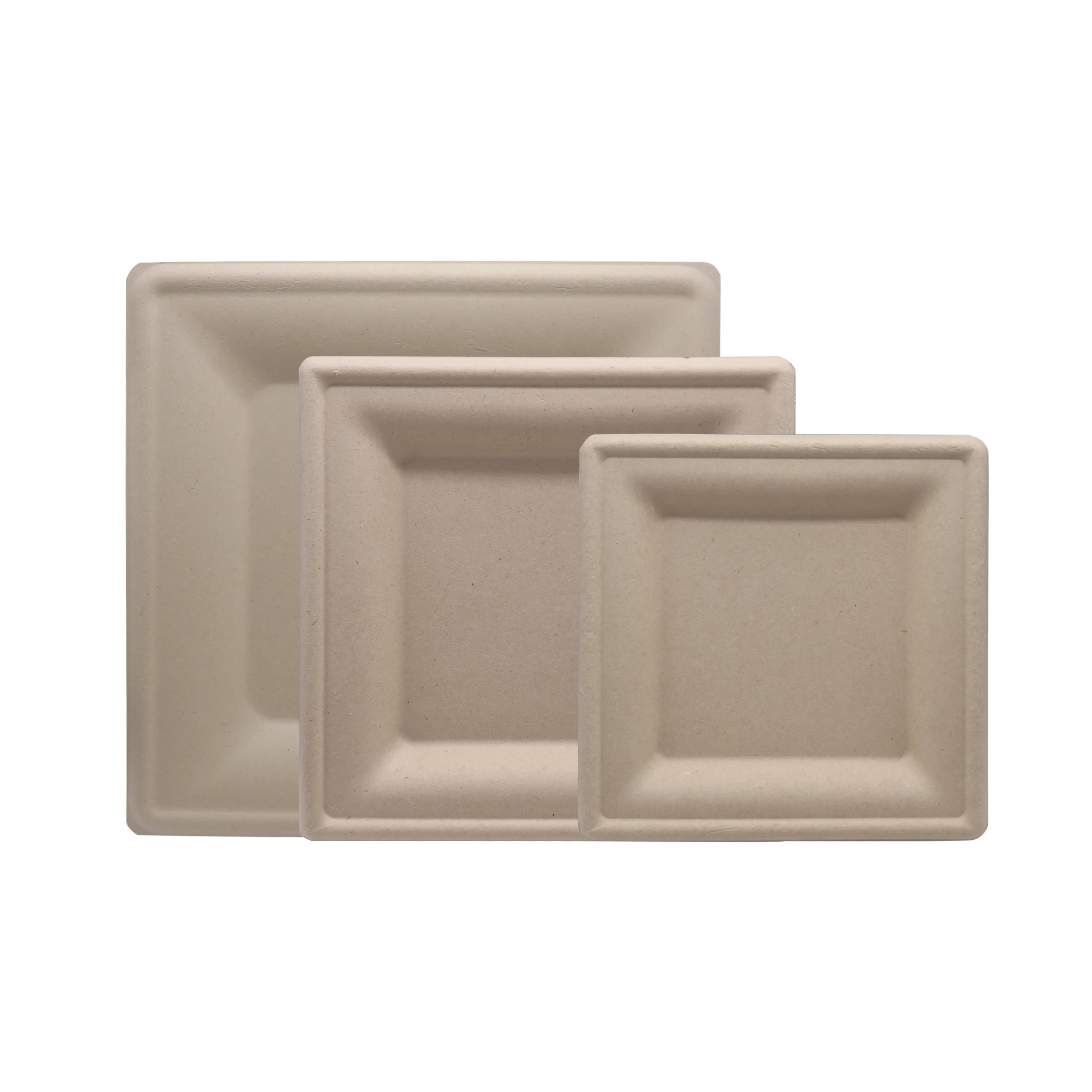 Eco-friendly Bagasse Dinner Plates 100% Biodegradable Disposable Plate 6 8 10 inch Sugarcane Pulp Square Plate