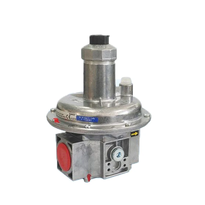 Gas Regulator Dungs Pressure Reducing Valves FRNG 515 Gas Relief Valve Monitoring Systeam For Industrial