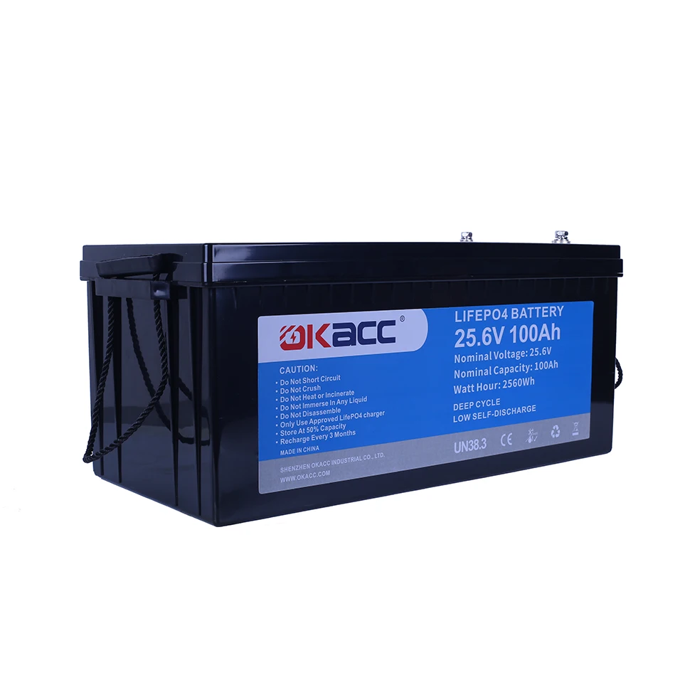 Shenzhen Factory High Power Lifepo4 24V Pack Lithium Ion Battery 100Ah