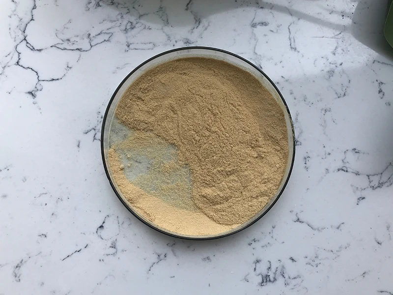 Camellia Oleifera Seeds Extract Tea Saponin Powder