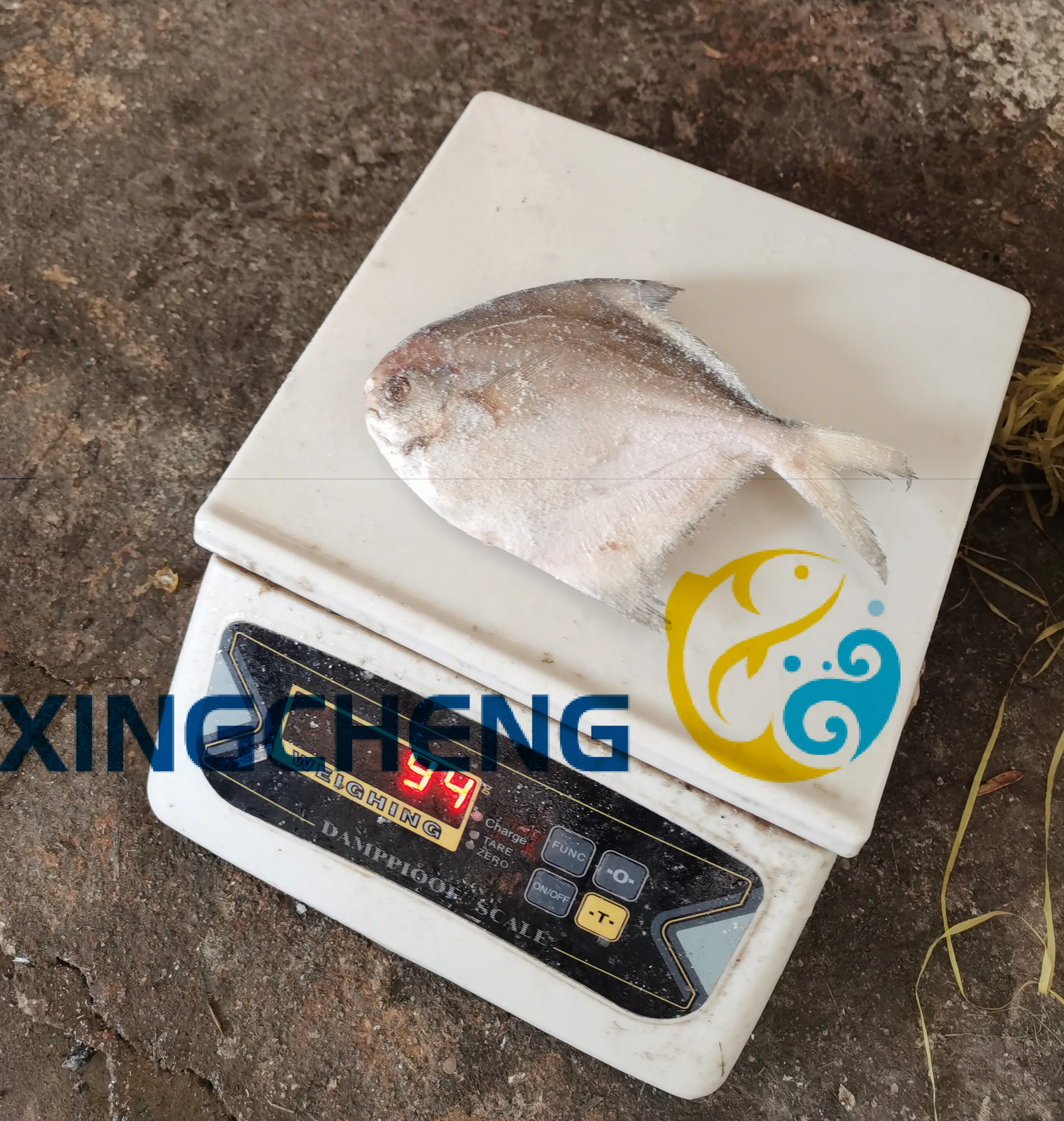 
Frozen Sea Food White / Silver Pomfret 