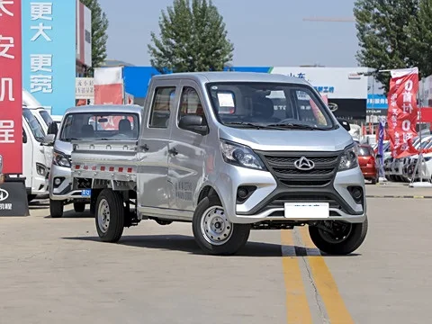 2023 Changan Kaicheng Shenqi T30 CNG double row standard car comfortable CHANA truck MINI truck for sale
