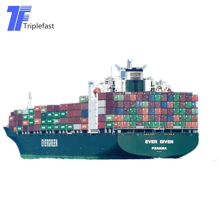 DDP Sea/train Shipping Door To Door From China To Slovakia/Norway/Netherlands