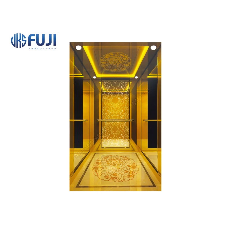 FUJI Home Lift Villa Elevator Used Home Lift Equipped with Permanent Magnet Synchronous Gearless Tractor Steel Stainless Item