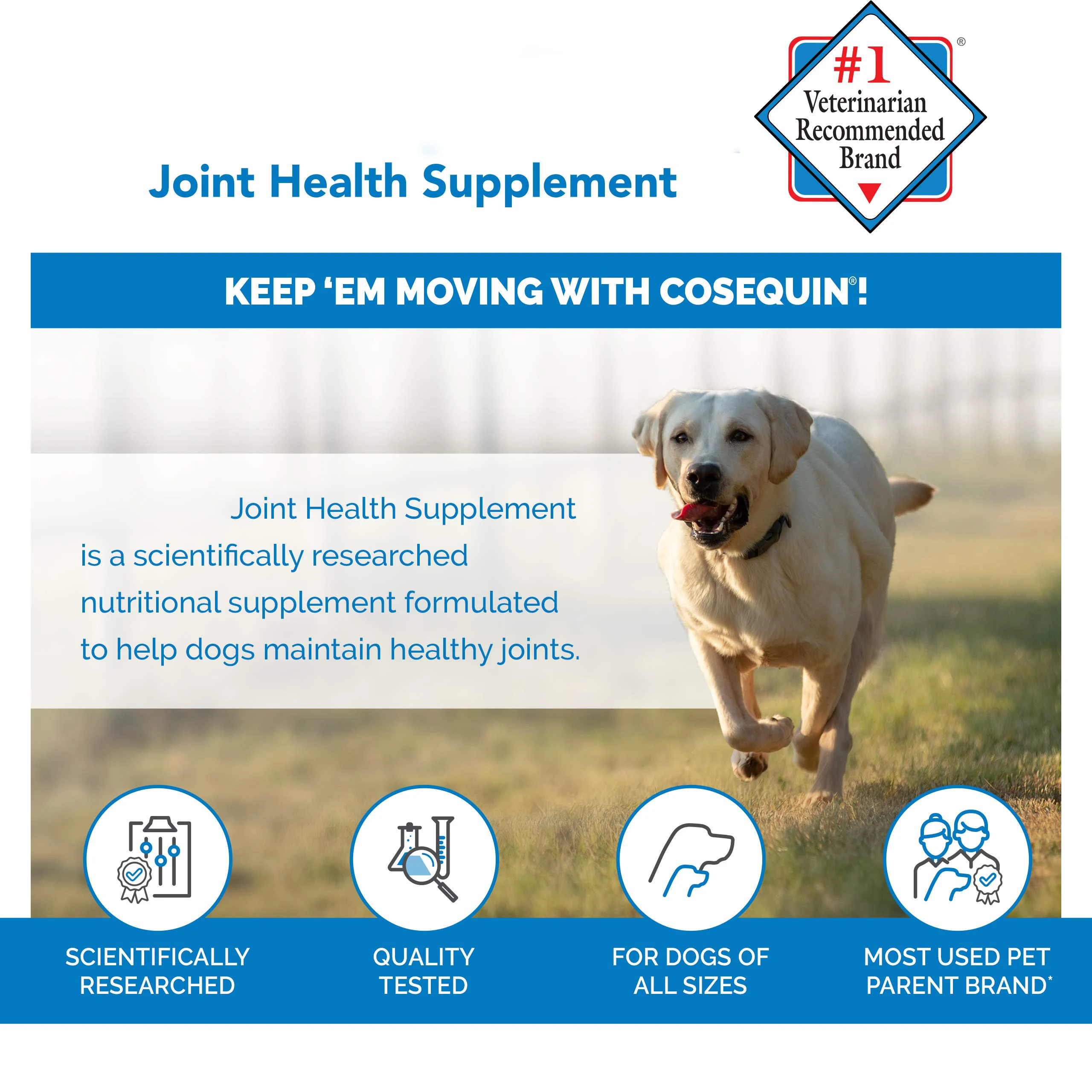 Dog Chewable Tablets Joint Health Supplement For Dogs