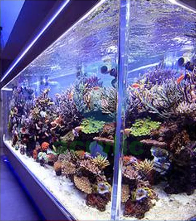 PG Home Made Red Sea Farming Aquarium Big Acrylic Fish Tank