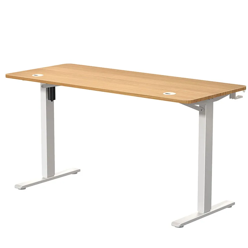 Modern Home Office Desk height adjustable electric standing Computer Desk for School Versatile Boss Desk