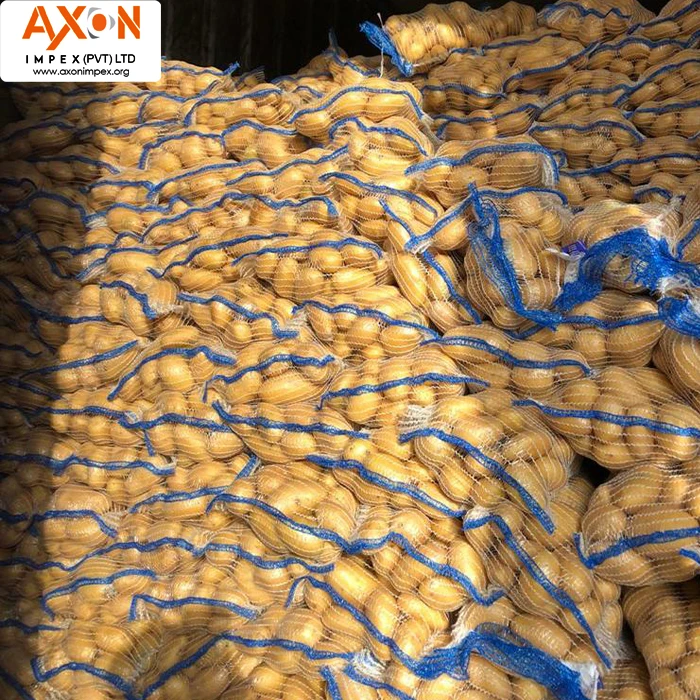 Hot selling export Mozika potato from Pakistan/export quality potatoes