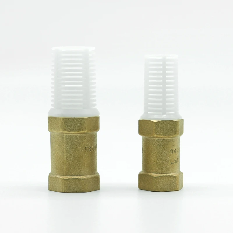 BT5003 high quality brass vertical spring check valve