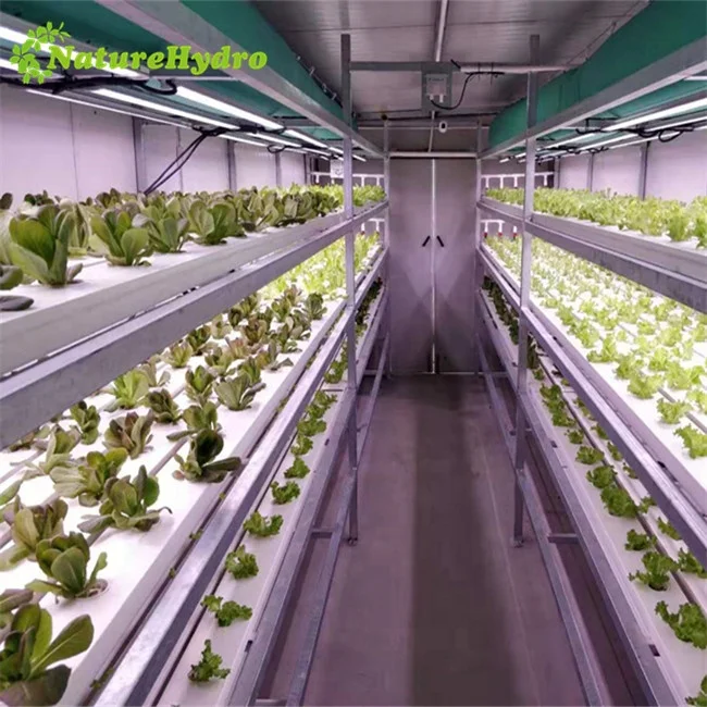 Hydroponics Nft Channel System Agriculture Greenhouse NFT Gully PVC Gutter
