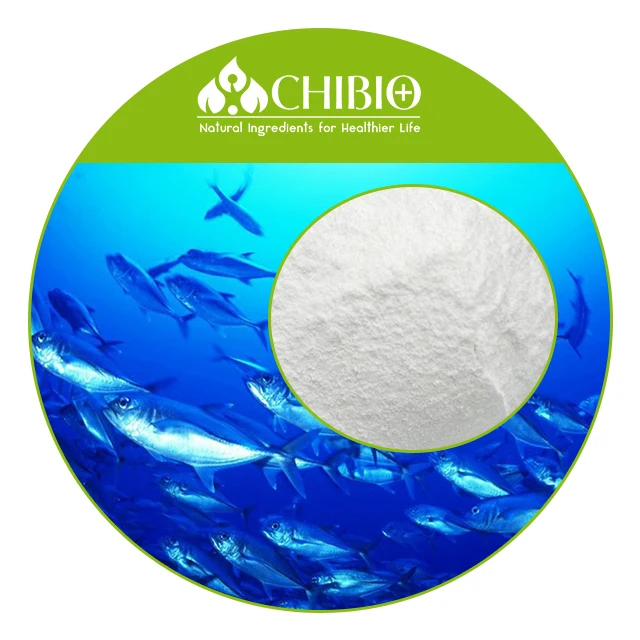 Type II Chicken Collagen Powder Raw Material for Nutritional Dietary Supplement