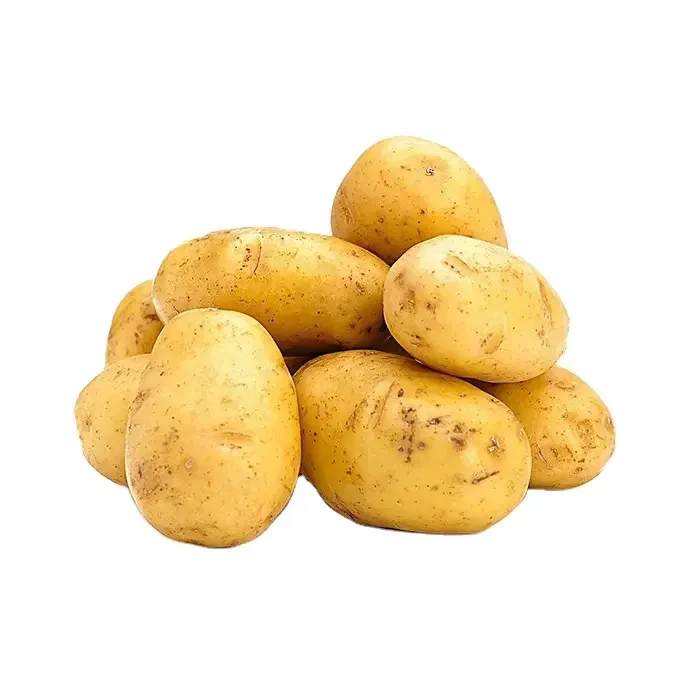 New Crop Holland Potato Seed/ Potato Wholesale Buyers/ Yellow Fresh Potato Prices