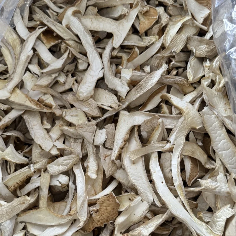 Free Sample Pure Organic King Oyster Mushroom Whole Dehydrated Vegetables Pleurotus Eryngii
