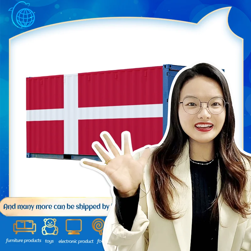 Fast And Stable Amazon FBA DDP Sea Freight FOB Railway Freight Transport to Denmark
