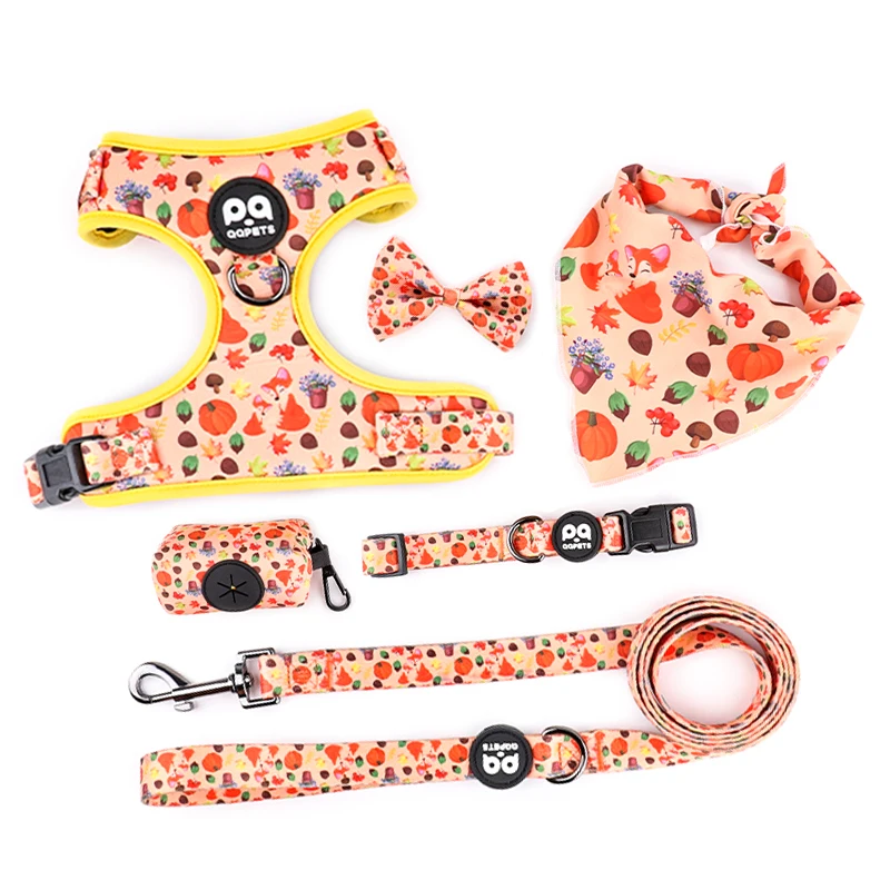 OEM Pet Accessories Mesh Dog Harnesses Set Comfortable Puppy Chest Print Pattern Dog Harness And Leash Set / Harnais pour chiens